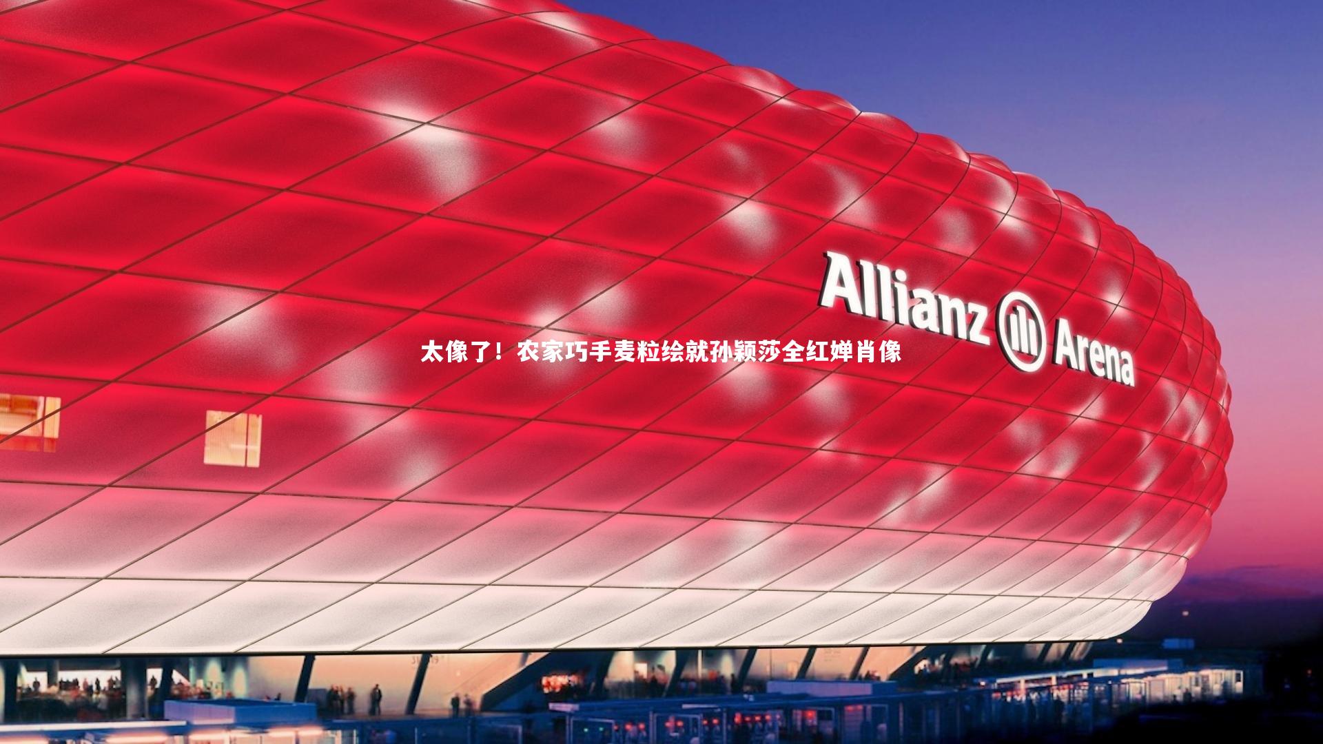 壹号娱乐下载|太像了！农家巧手麦粒绘就孙颖莎全红婵肖像